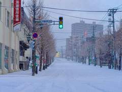 눈이 오면 떠날 거예요[雪が降れば]