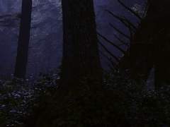 끝내 후회만을 남기고.