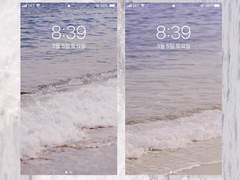 Shimmering Afternoon