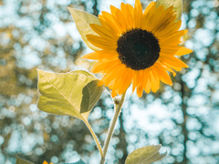 ...너한텐 해주고싶은 말들이 참 많았는데.