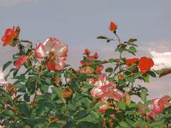 너 같은 사람은 너 밖에 없었어