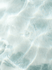 Under The Green Light