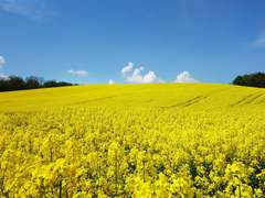 (닌자고)봄바람은 새 시작과 함께 온다