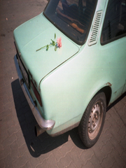 오만한 그대에게