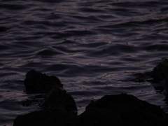 𝐍𝐨𝐚𝐡 𝐇𝐚𝐫𝐢𝐬𝐨𝐧