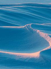 CoC 번역 시나리오