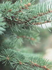 솔시화 썰 모음