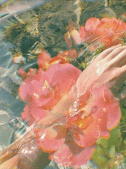 Margaret Cordelia Valentine