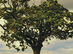 지가람 앤솔로지 『Over the Horizon』 샘플