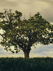 지평선과 해오름