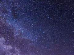 가리지 못하여 진실을 마주한 검은 뱀