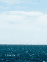 쓰고 싶은 것들