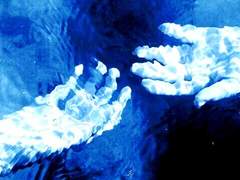 민아연 :: 프로필