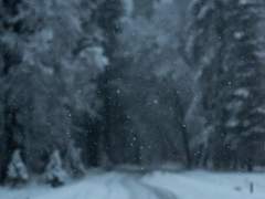 To cozy up to someone