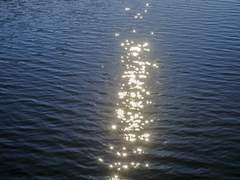 종이게이도 정치 관심둬야 하는 이유