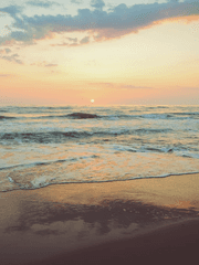 신신화신 이것저것