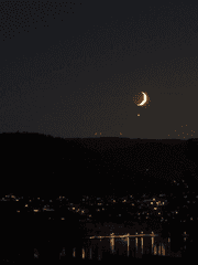 켈빈 르 아르디움.