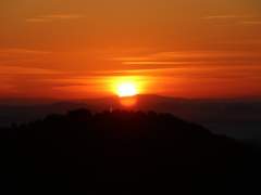 케이시 레퀴엠 다나 | 10 | 입학