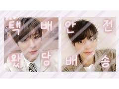 엔시티 드림 제노 도무송 스티커 도안 판매💚