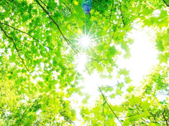 그대에 대하여, 28