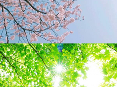 그대에 대하여, 번외 1