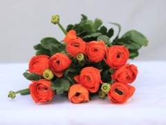 누군가 나의 글을/이도은