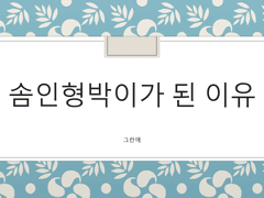 그런애가 솜인형박이가 된 이유.pptx