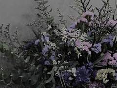 순애와 인외를 담아 쓰는 편지