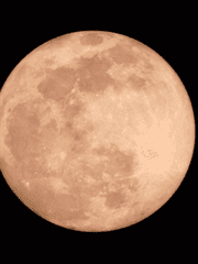 [HQ]네임리스 드림