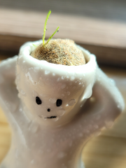 뜰팁 단편 소설