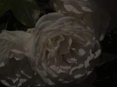 두 글자 지울 방법을 몰라