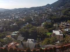 3월 첫 주말을 보내며..