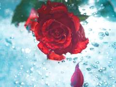 [진휘새봄]소낙비