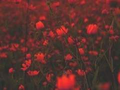 보통 사주 상담신청방