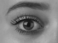 에스퍼 prologue 1