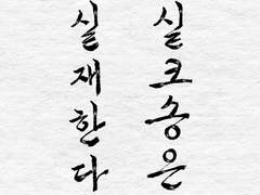 할로우나이트 연성 모음