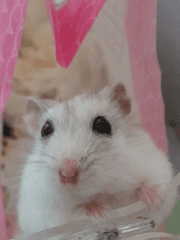 우리동네 마법사님 댁에서