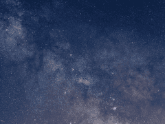 1인칭 관찰자 시점