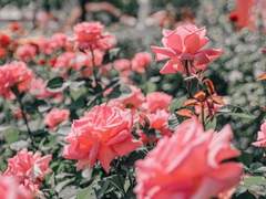 정다이 | 1학년 | 17세 | XX