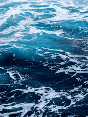 여름과 가을의 이해관계