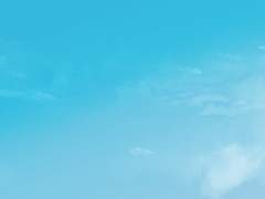 붉은 늑대는 이제 어디로 달음박질 하나.