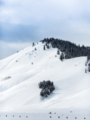 질서를 바로잡는 연명 치료사