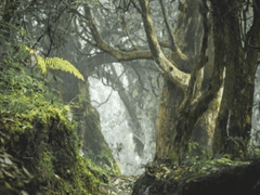 [번역] shrike - ch. 2