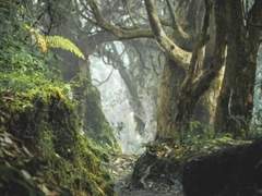 [번역] shrike - ch. 1