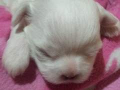 두부우유 3월 9일은 휴재입니다.