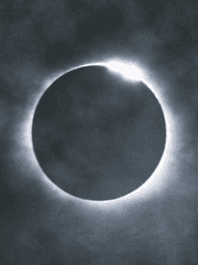 IF {나이트와 암흑기사 반전}