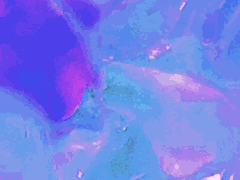 [브래네로] 열두 번째 조각