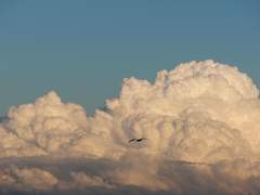 바람이 멈춘다. 두 시선은 교차한다.