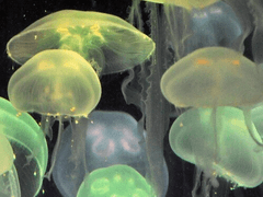 손을 뻗으면 닿는