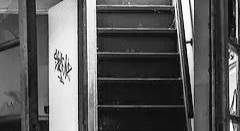 예상했던 그대로,